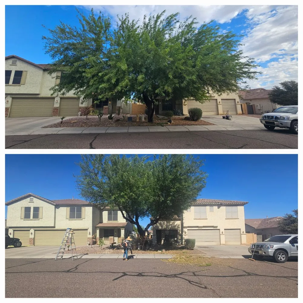 Reliable outdoor landscaping near you across Queen Creek, AZ - J & E Landscape