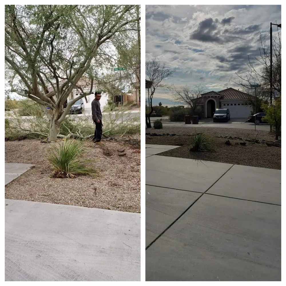 Reliable lawn care service in Queen Creek, AZ by J & E Landscape