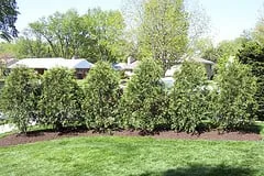 Reliable lawn care service experts serving Eastlake, OH - J & E Landscape Services