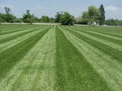 Affordable yard maintenance experts serving Eastlake, OH - J & E Landscape Services