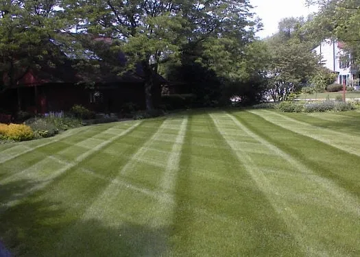 Trusted landscaping services in Eastlake, OH - J & E Landscape Services