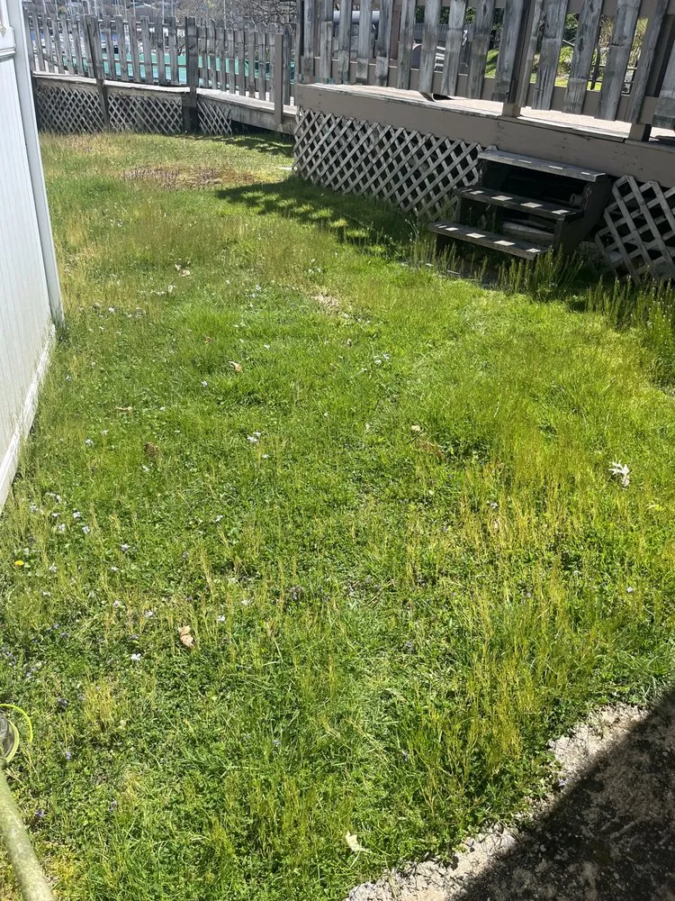 Local landscape design in Central Falls, RI by J & E Landscaping & Construction