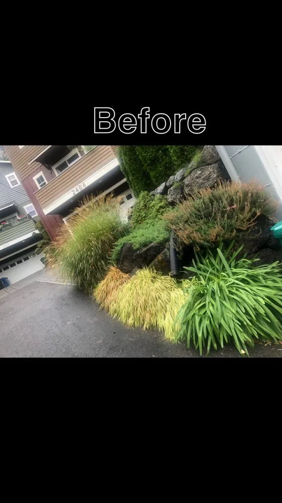 Reliable landscape installation experts serving Everett, WA - J & E Landscaping
