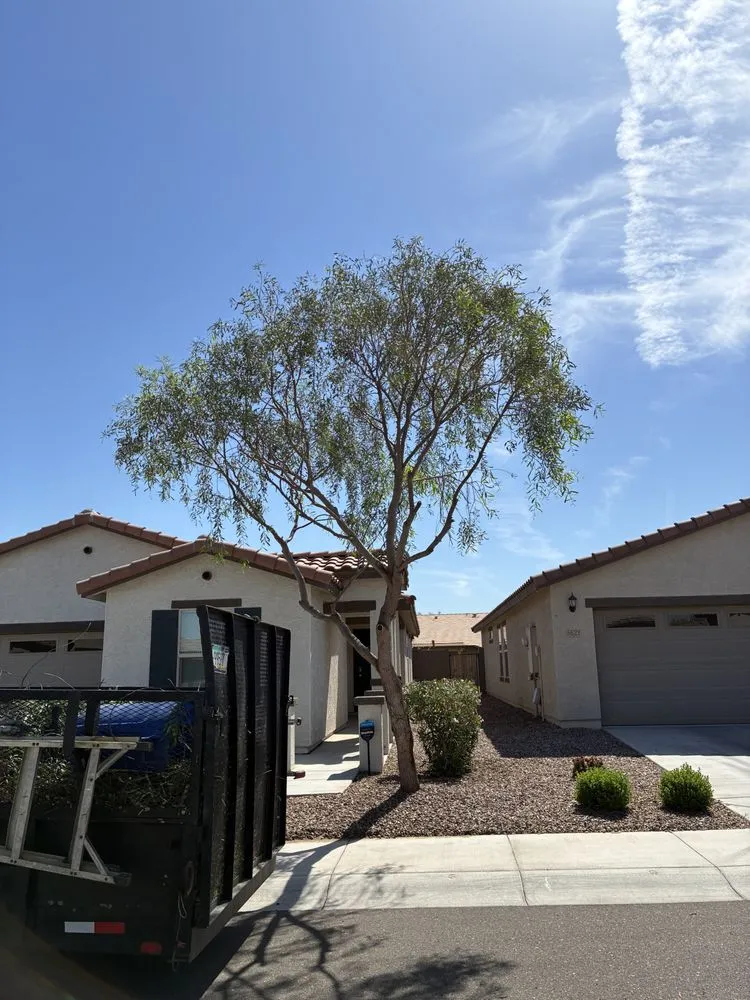 Custom outdoor landscaping experts serving Phoenix, AZ - J & E Landscaping