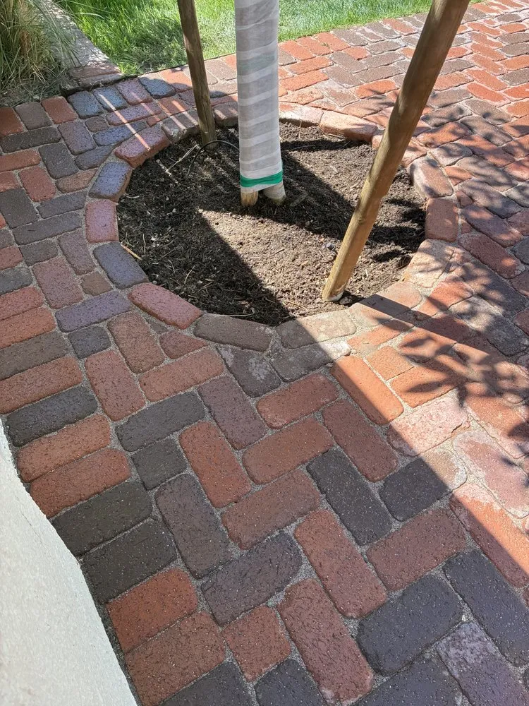 Reliable lawn care service in Phoenix, AZ - J & E Landscaping