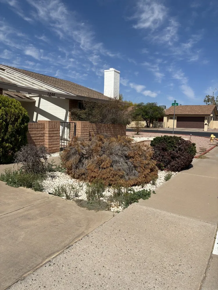 Custom lawn mowing service in Phoenix, AZ by J & E Landscaping