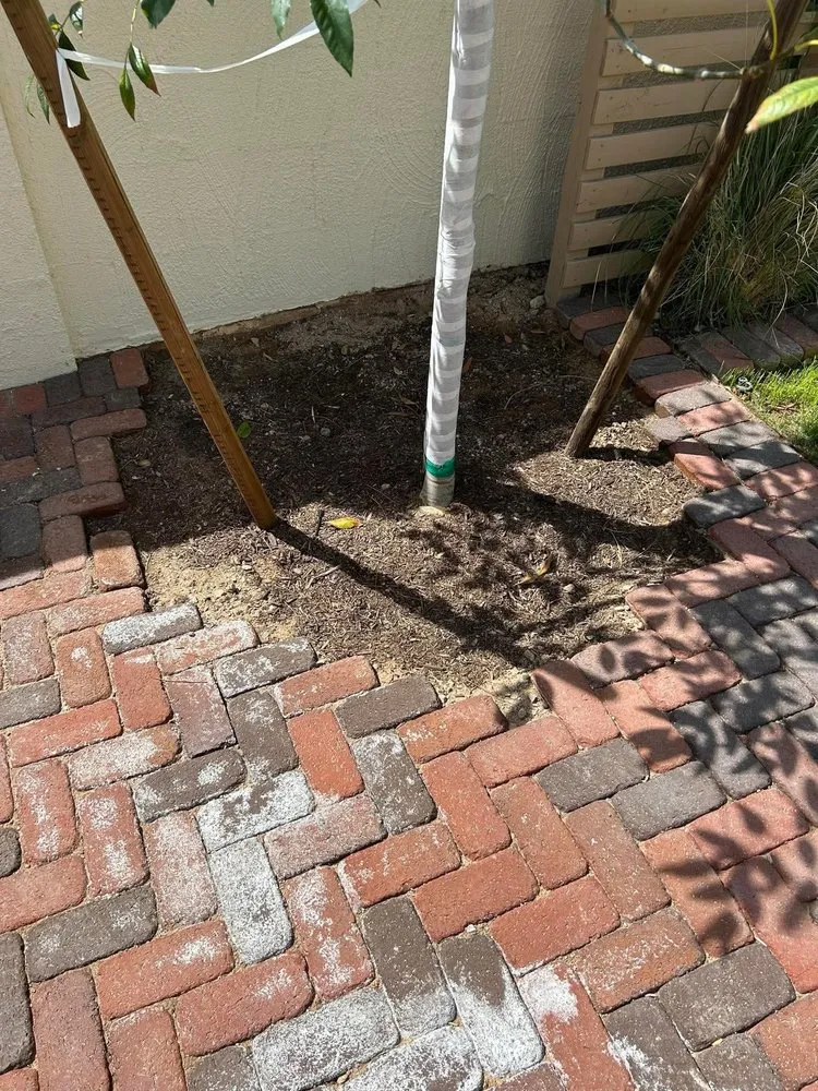 Professional landscaping services experts serving Phoenix, AZ - J & E Landscaping