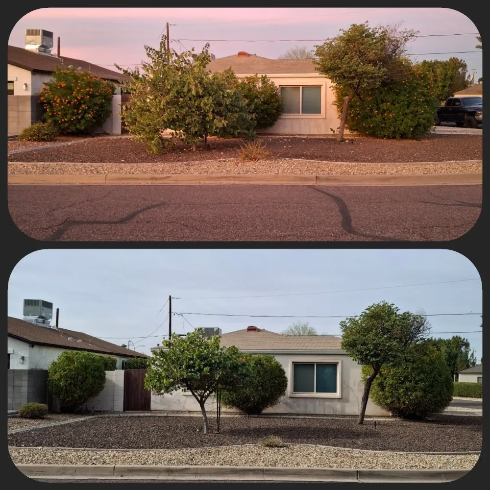 Affordable yard cleanup service in Phoenix, AZ by J & E Landscaping