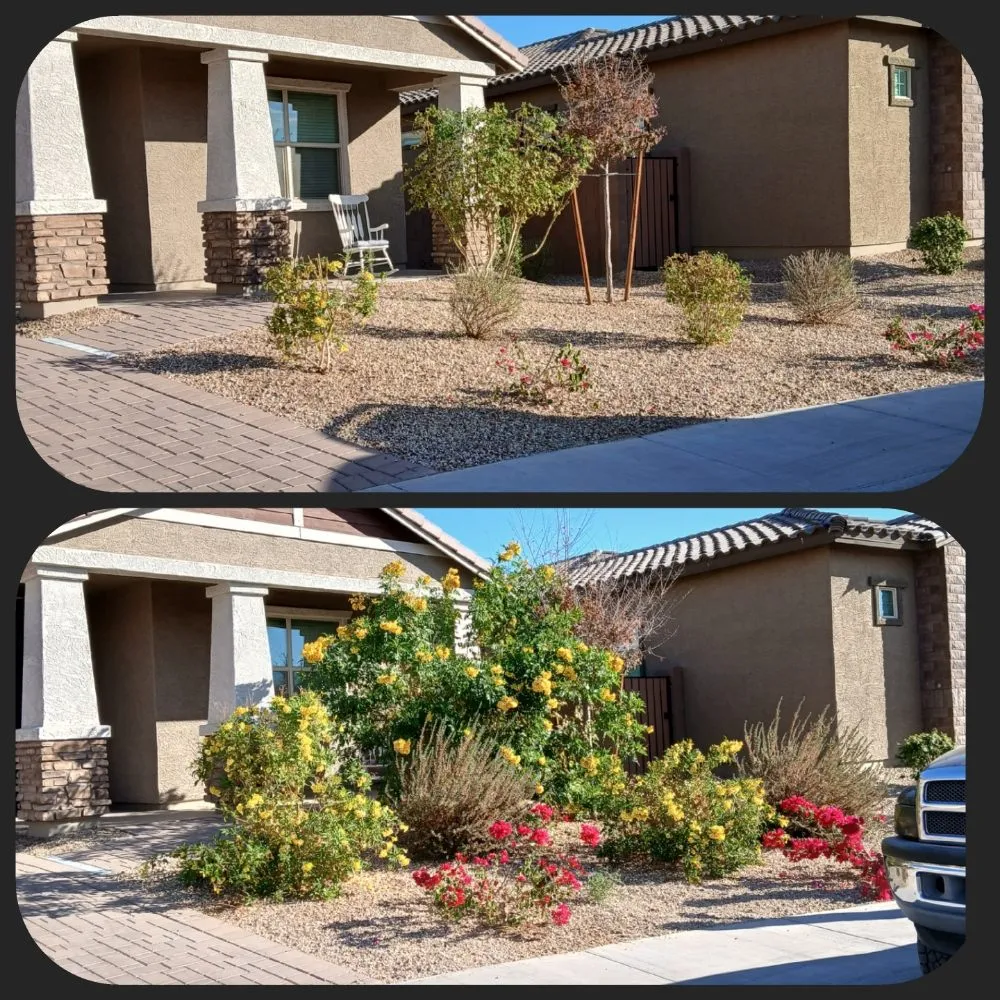 Top-rated yard cleanup service in Phoenix, AZ by J & E Landscaping
