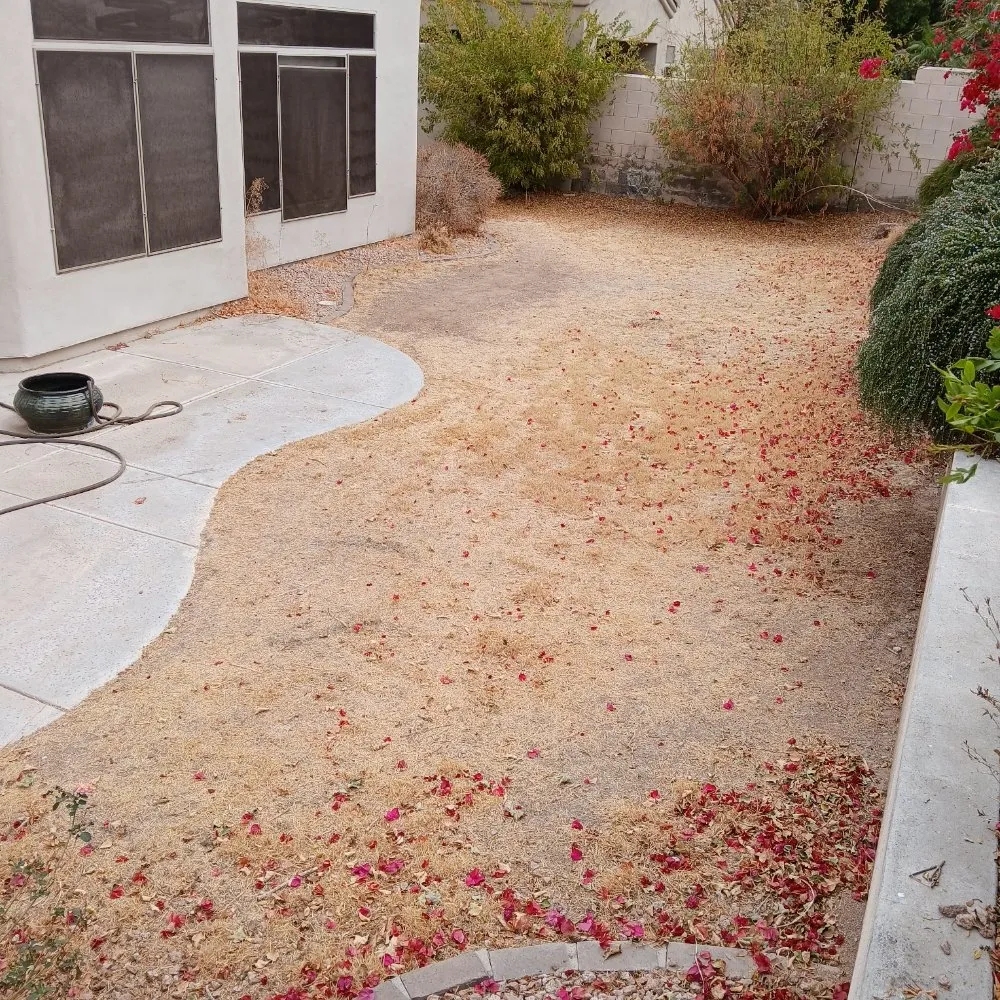 Trusted residential landscaping for residential properties across Phoenix, AZ - J & E Landscaping