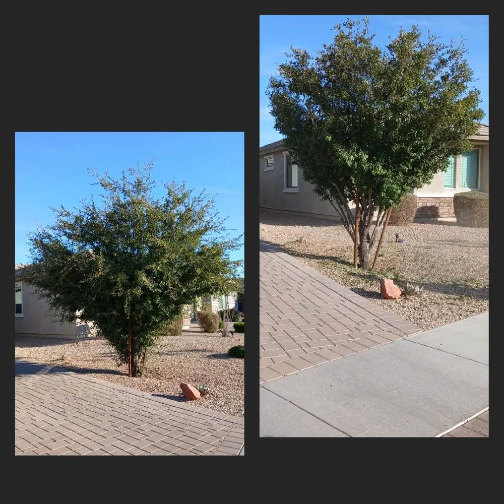 Reliable landscaping services in Phoenix, AZ - J & E Landscaping