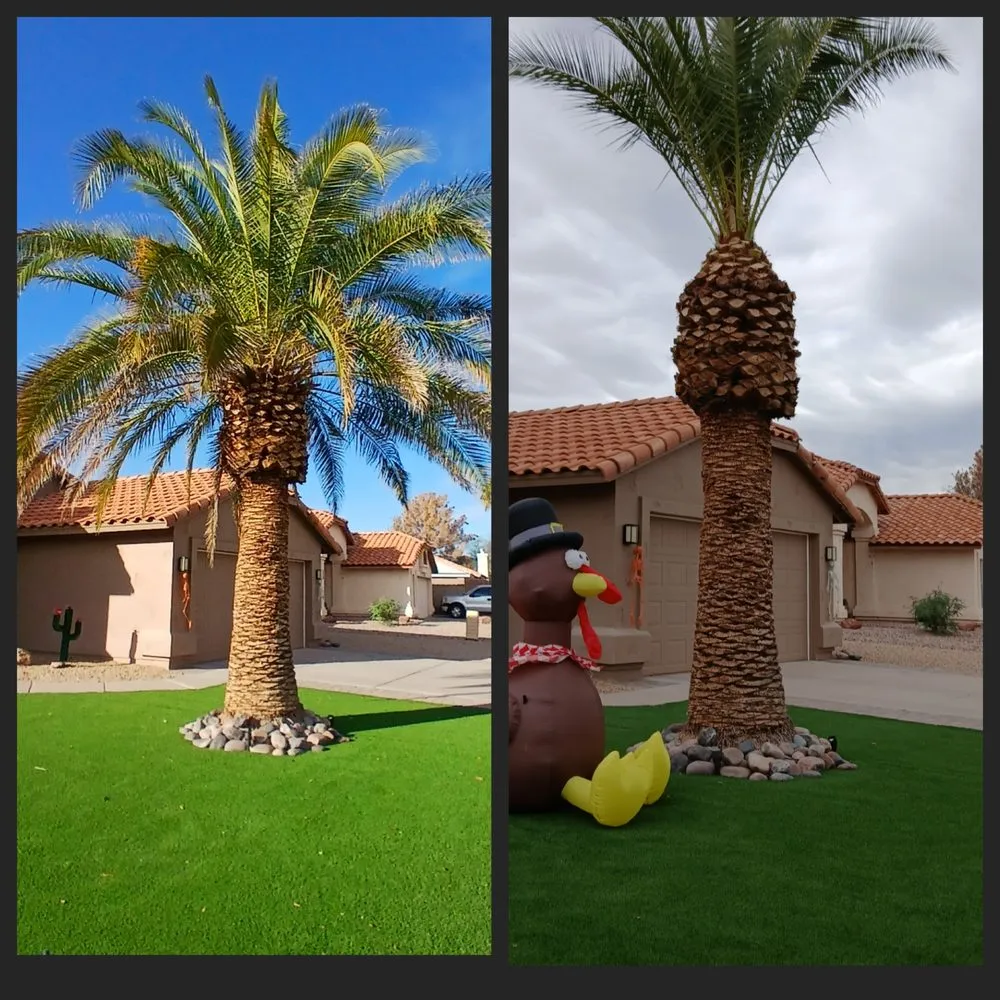 Local yard maintenance experts serving Phoenix, AZ - J & E Landscaping