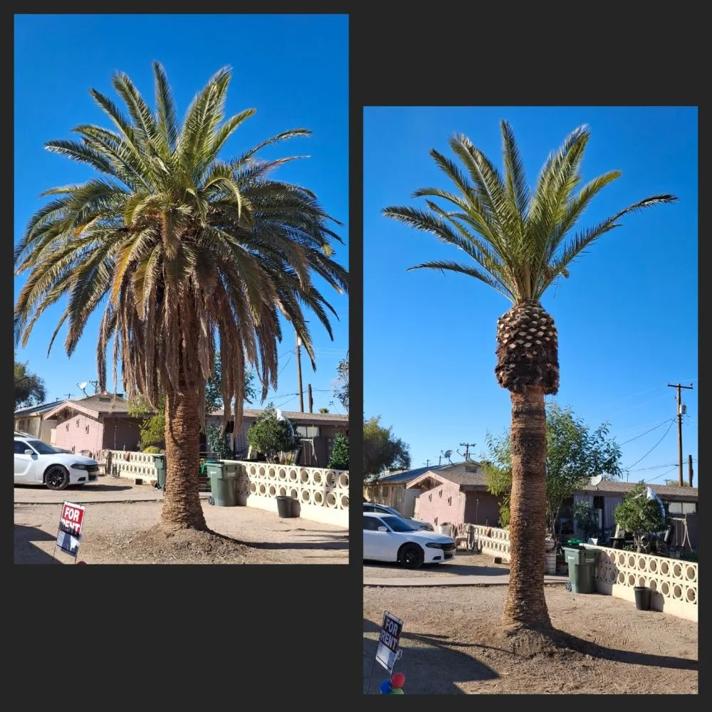 Expert residential landscaping for residential properties in Phoenix, AZ by J & E Landscaping