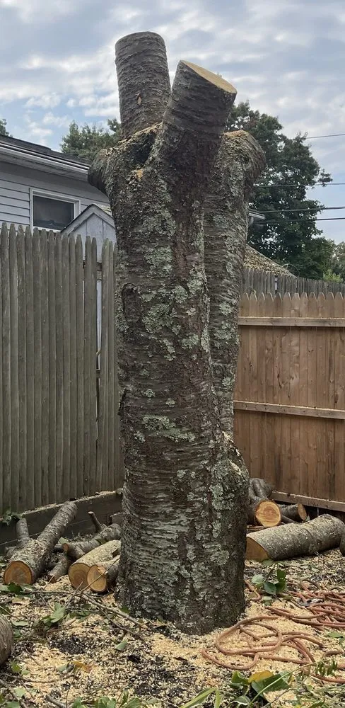 Expert outdoor landscaping for residential properties in Mastic Beach, NY by J & E Lawn Care And Tree Service