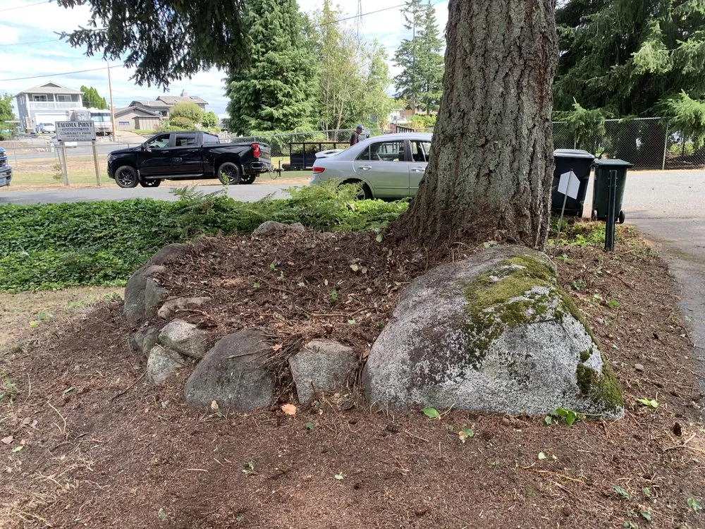 Professional yard cleanup service for beautiful yards across Bonney Lake, WA - J & E Lawn Care