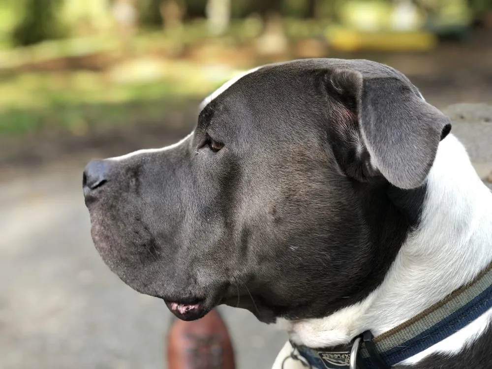 Top-rated lawn care service in Chadds Ford, PA - J & E Lawnscapes