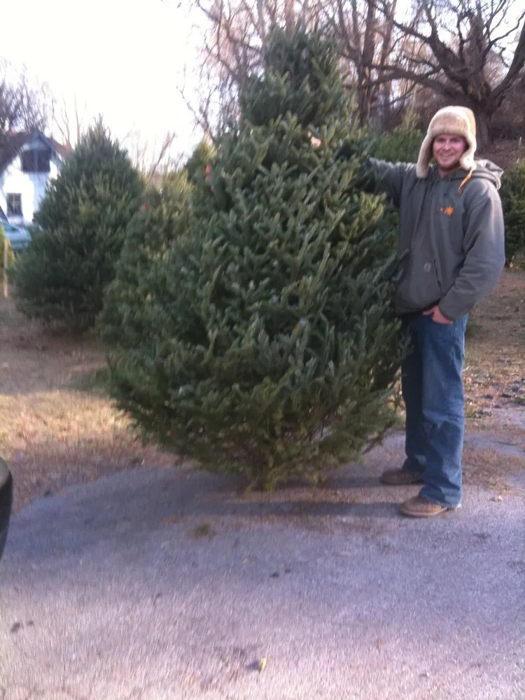 Expert landscape design for beautiful yards across Chadds Ford, PA - J & E Lawnscapes