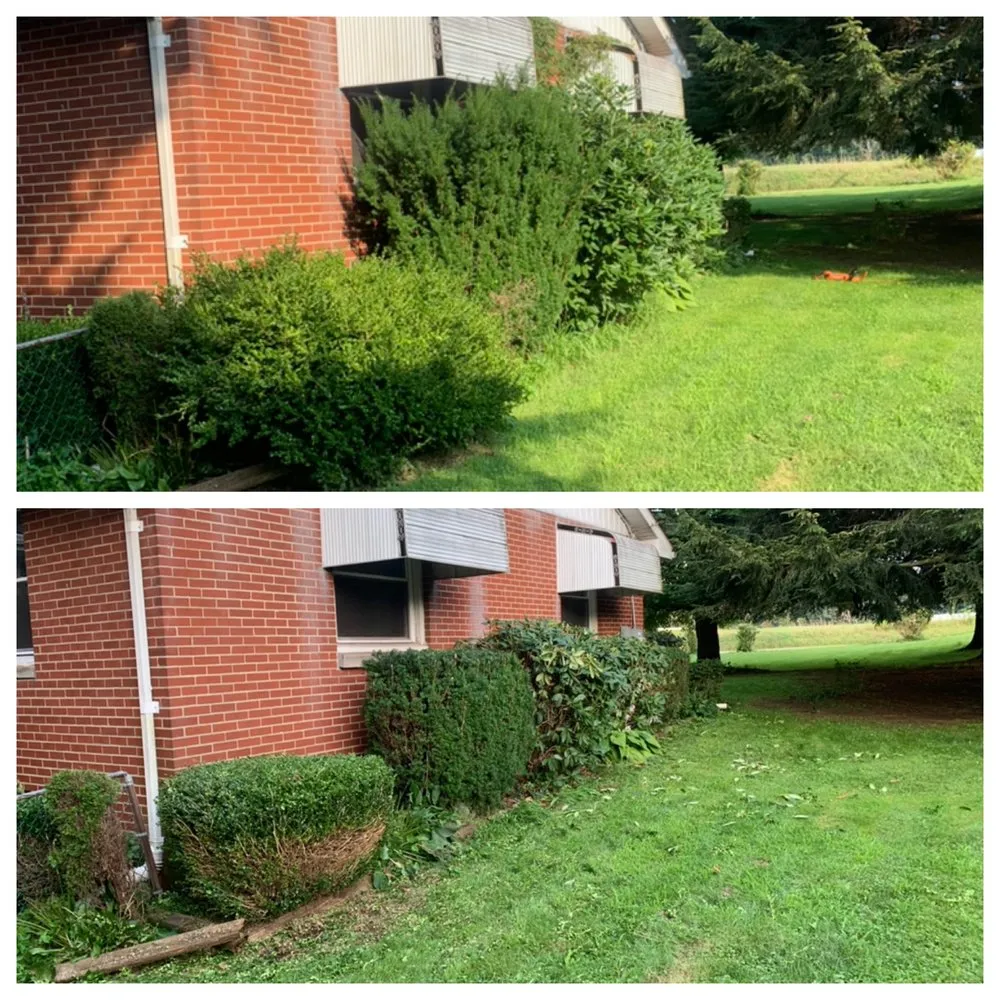 Expert lawn mowing service in Johnstown, PA by J & E Odd Jobs