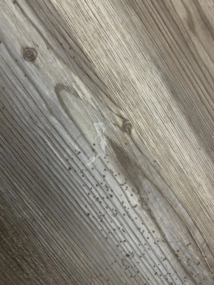 Expert landscape design in Johnstown, PA by J & E Odd Jobs