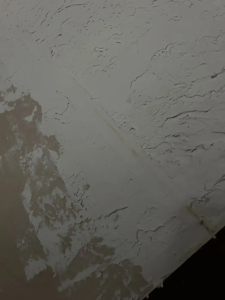 Expert yard cleanup service in Johnstown, PA - J & E Odd Jobs