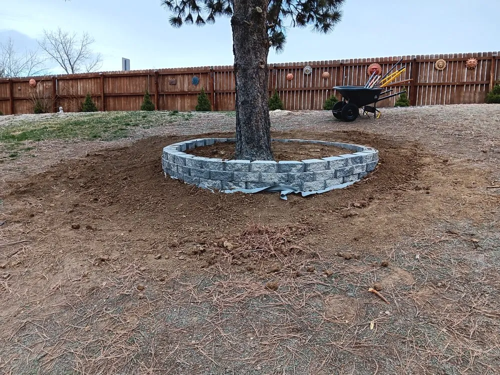 Local lawn mowing service in Aurora, CO by J & E Precision Landscaping