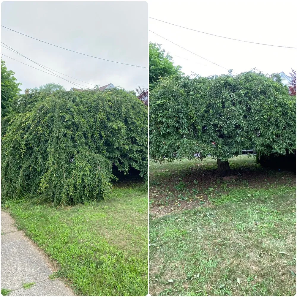 Custom outdoor landscaping in Fairfield, CT - J & E Property Services