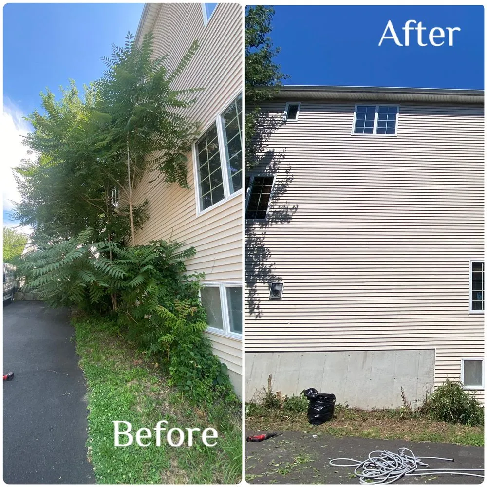 Trusted landscaping services in Fairfield, CT by J & E Property Services