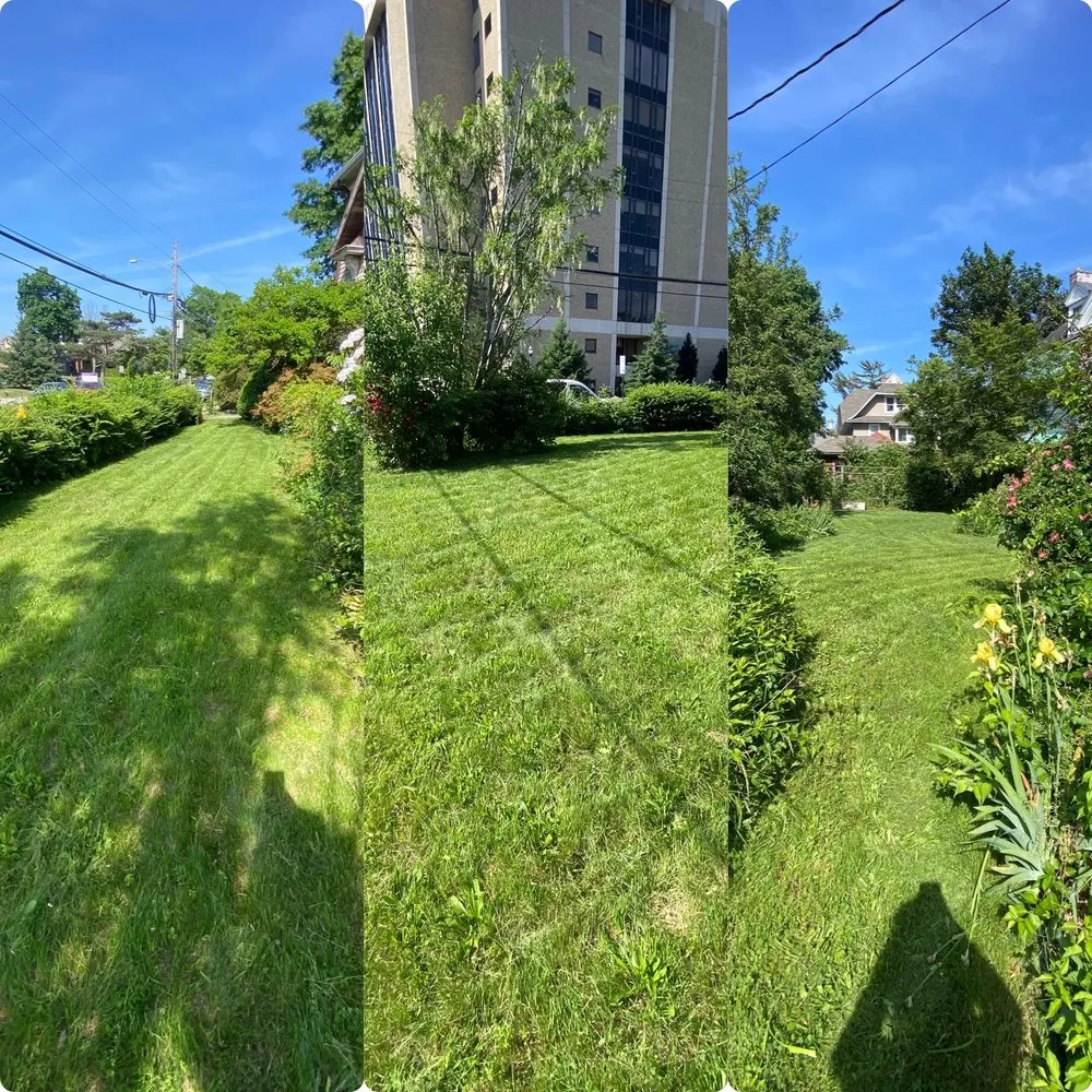 Local landscape installation for residential properties in Fairfield, CT by J & E Property Services