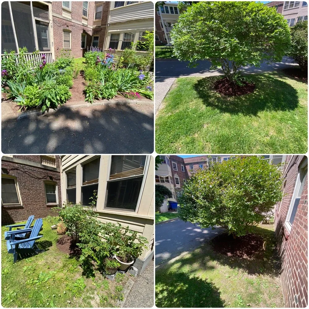 Affordable yard cleanup service for outdoor upgrades in Fairfield, CT by J & E Property Services