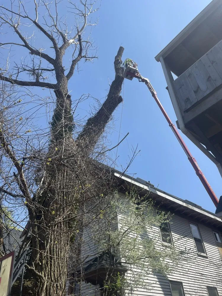 Expert residential landscaping in Lynn, MA - J & F Lancaping And Tree Services