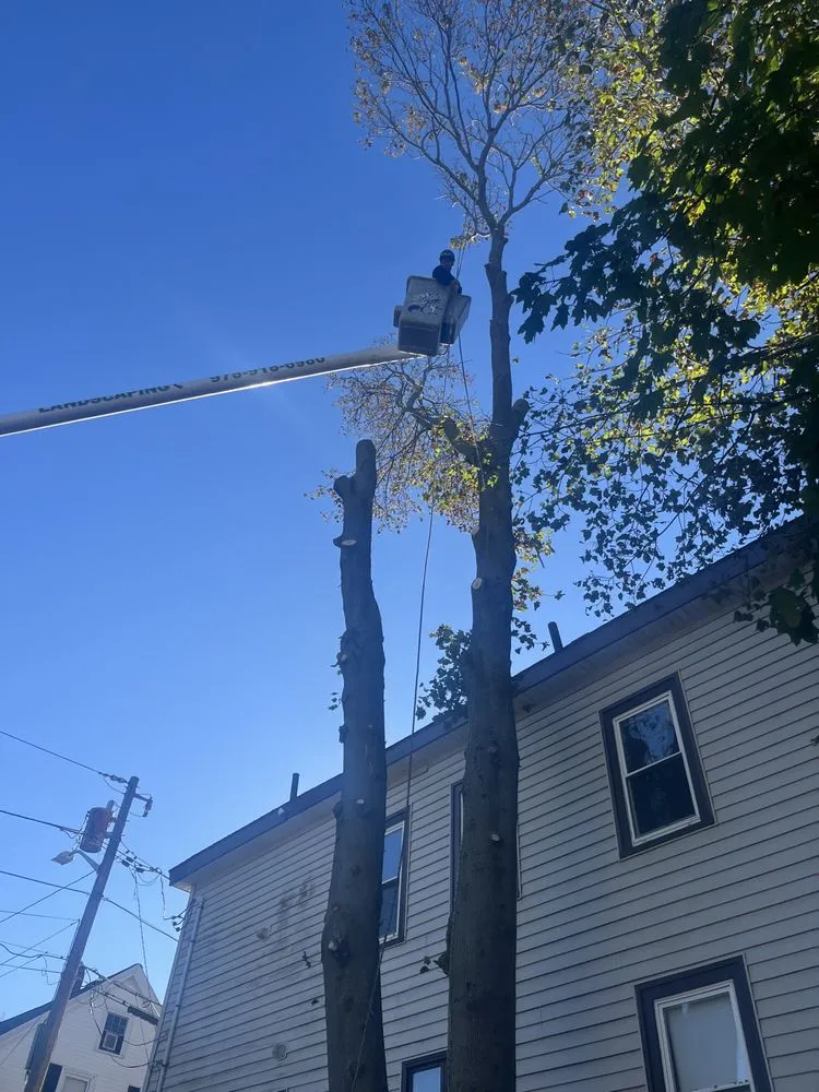 Top-rated landscape installation experts serving Lynn, MA - J & F Lancaping And Tree Services