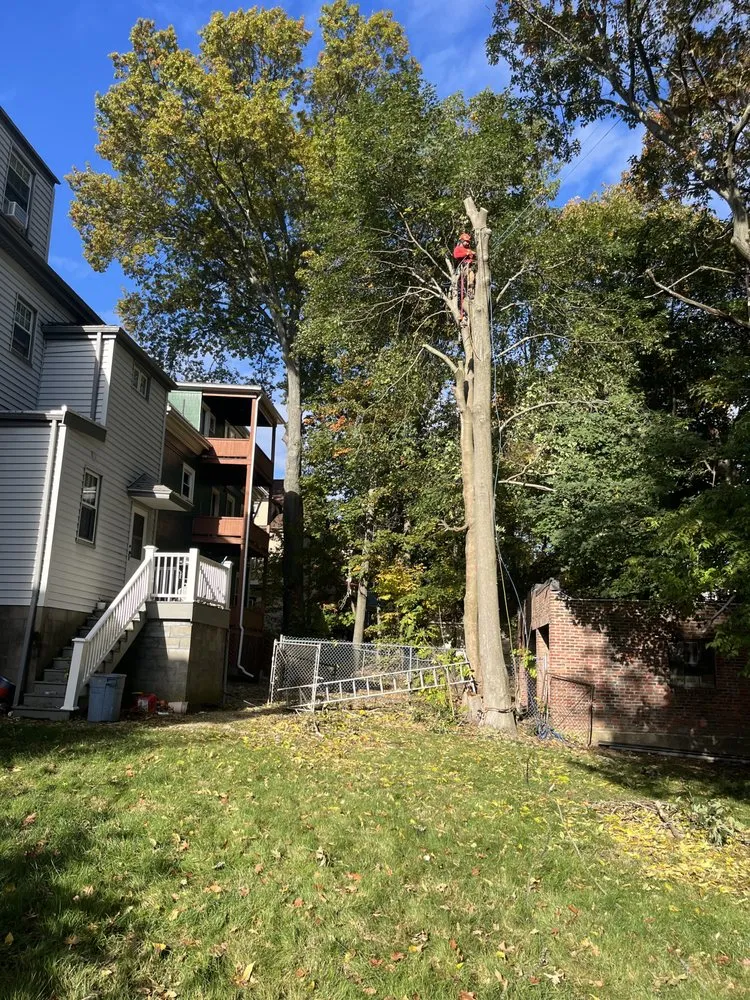 Trusted landscape installation in Lynn, MA - J & F Lancaping And Tree Services