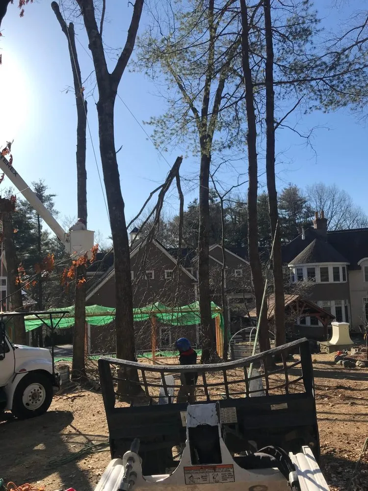 Affordable landscape design near you in Lynn, MA by J & F Lancaping And Tree Services