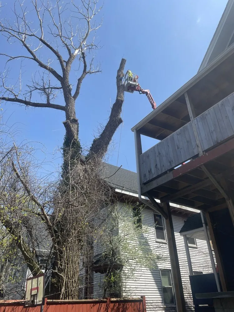 Expert lawn mowing service with custom design in Lynn, MA by J & F Lancaping And Tree Services