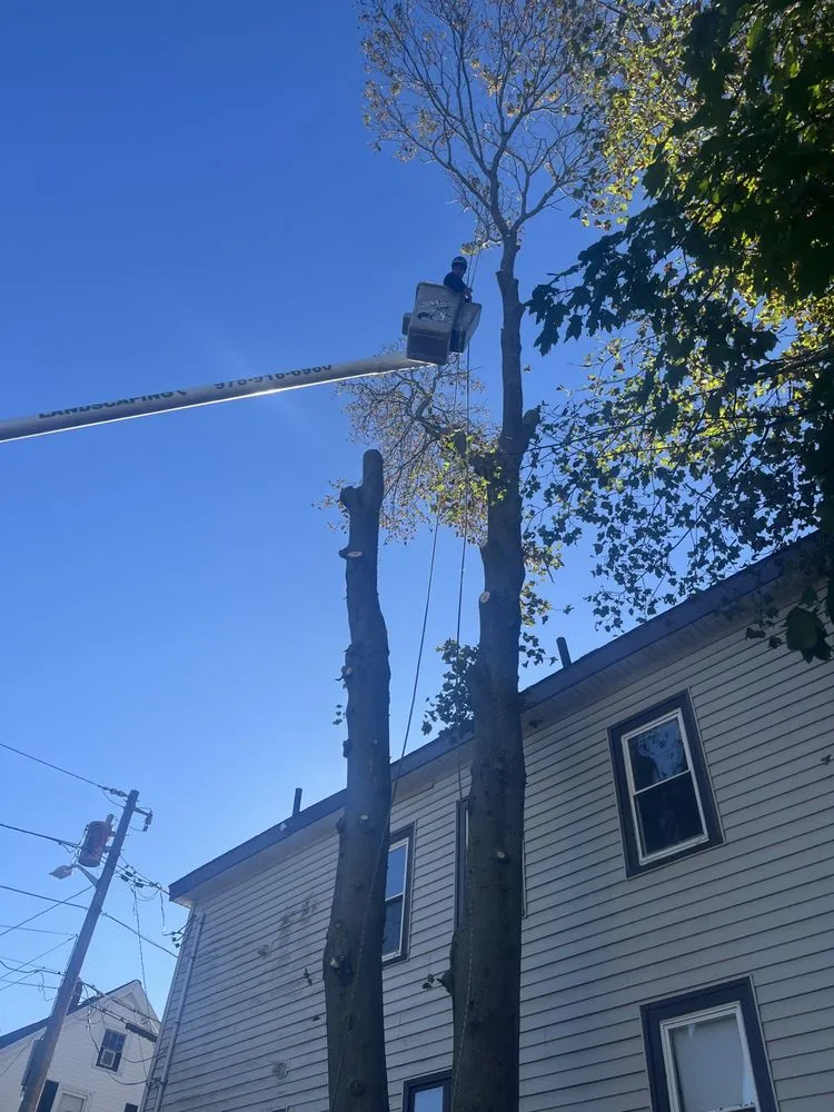 Affordable garden landscaping in Lynn, MA by J & F Lancaping And Tree Services