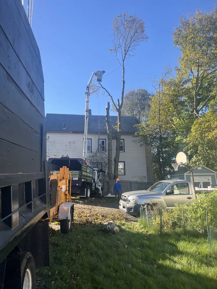 Custom yard cleanup service in Lynn, MA by J & F Lancaping And Tree Services