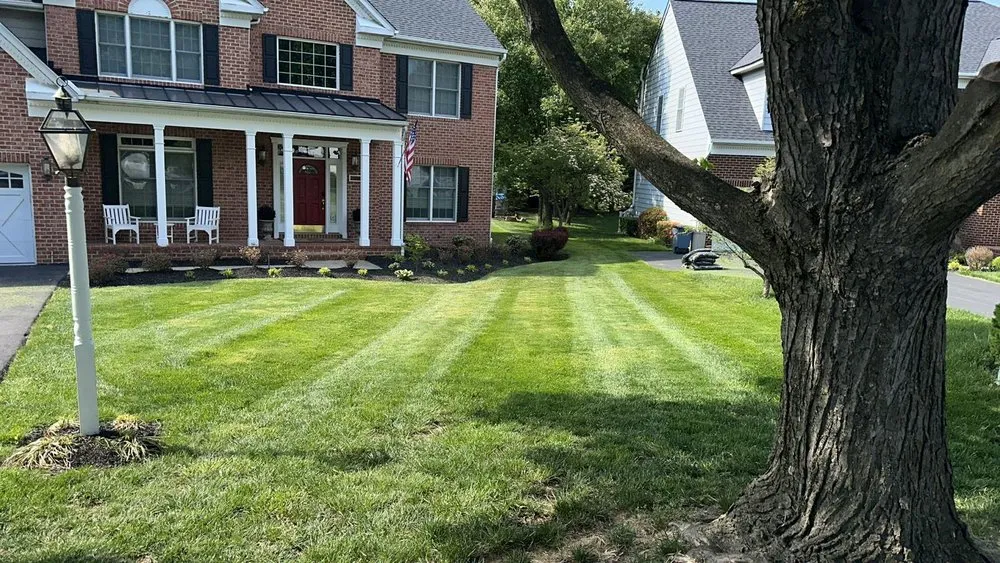 Professional lawn care service for beautiful yards in Ellicott City, MD by J & F Lawn and Landscape