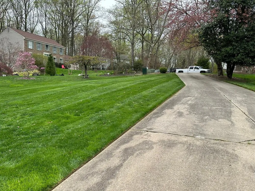 Reliable yard cleanup service in Ellicott City, MD - J & F Lawn and Landscape