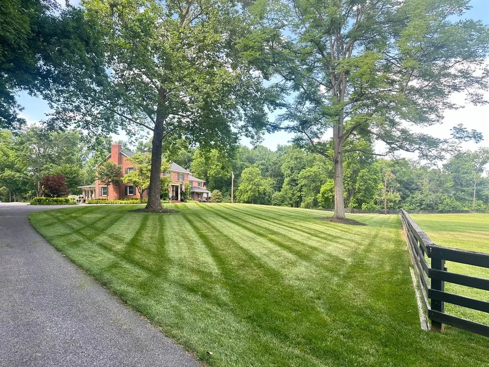 Professional landscape installation experts serving Ellicott City, MD - J & F Lawn and Landscape