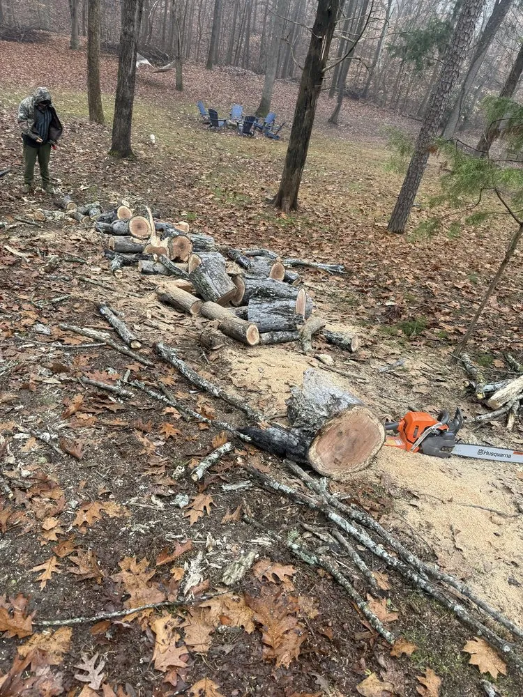 Expert landscape installation with custom design in Charlotte, NC by J & G Landscaping & Tree Service