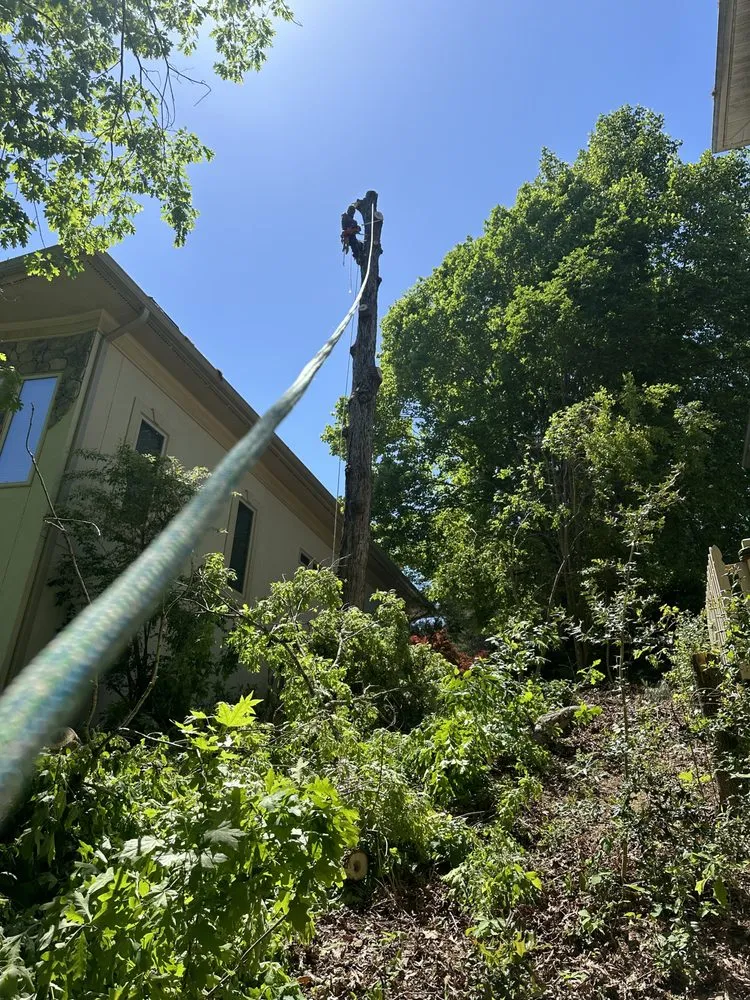 Local landscaping services in Charlotte, NC - J & G Landscaping & Tree Service