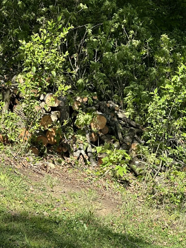 Trusted yard cleanup service with custom design across Charlotte, NC - J & G Landscaping & Tree Service