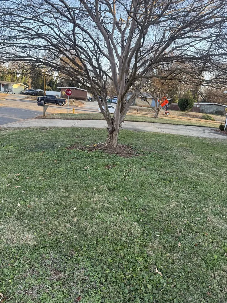 Custom landscape installation in Charlotte, NC - J & G Landscaping & Tree Service