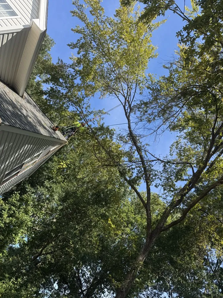 Professional lawn mowing service experts serving Charlotte, NC - J & G Landscaping & Tree Service