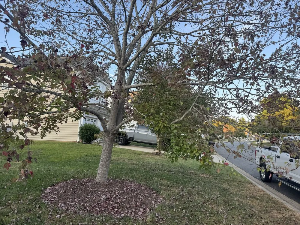 Trusted landscape design in Charlotte, NC by J & G Landscaping & Tree Service