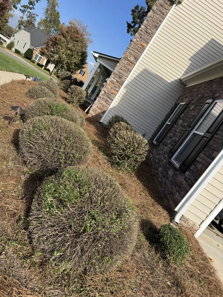 Professional garden landscaping for homes across Charlotte, NC - J & G Landscaping & Tree Service