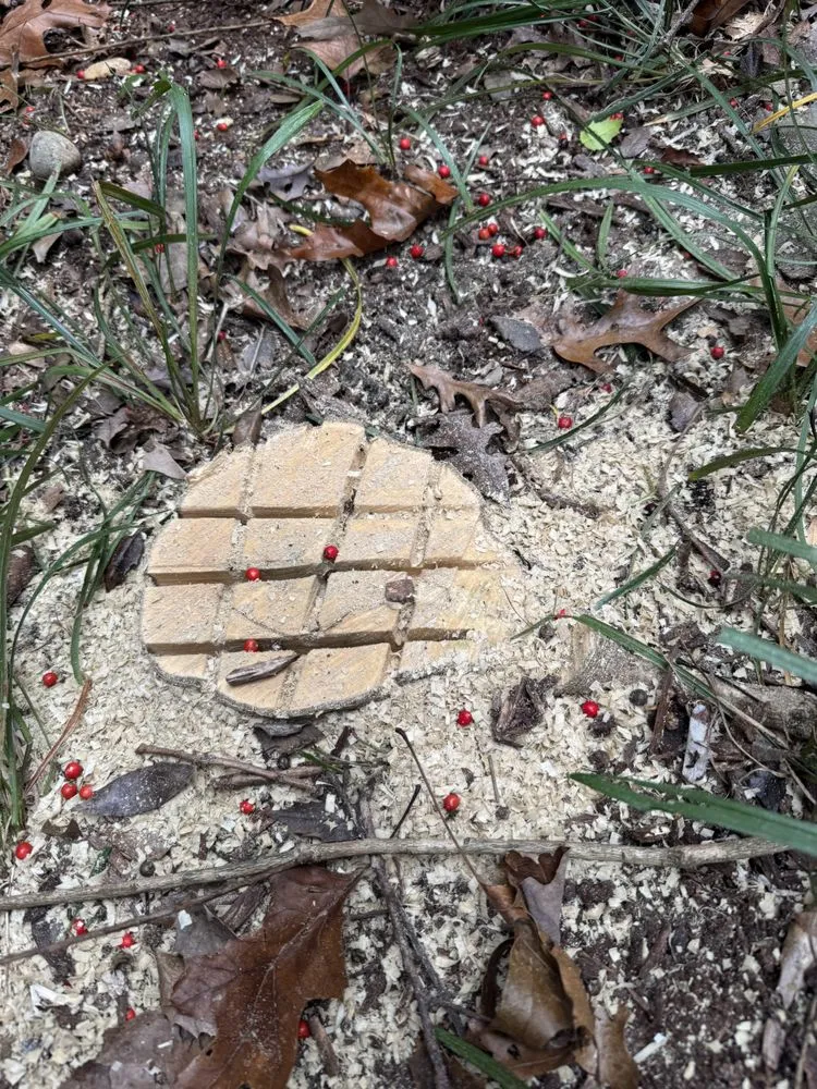 Affordable outdoor landscaping in Charlotte, NC by J & G Landscaping & Tree Service