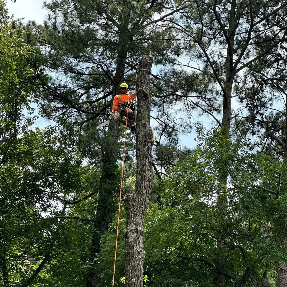 Top-rated residential landscaping in Charlotte, NC - J & G Landscaping & Tree Service