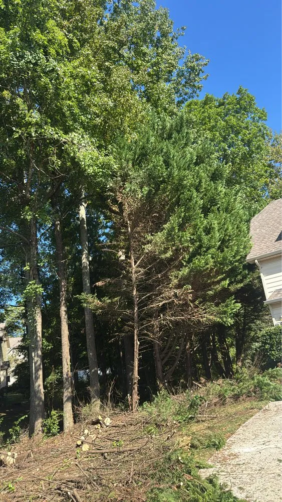 Local garden landscaping in Charlotte, NC by J & G Landscaping & Tree Service