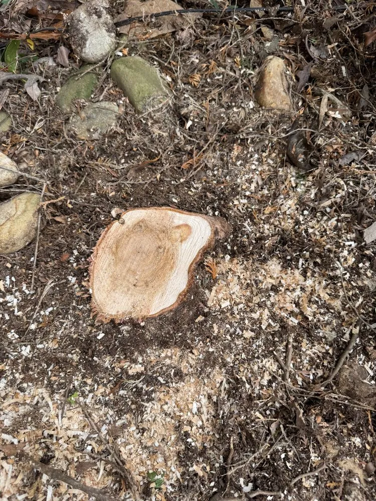 Custom residential landscaping in Charlotte, NC by J & G Landscaping & Tree Service